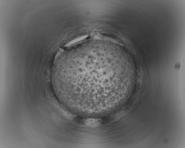 X0000111180465200907151329