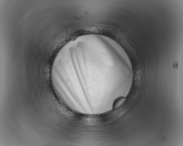 X0000111180466200907151329