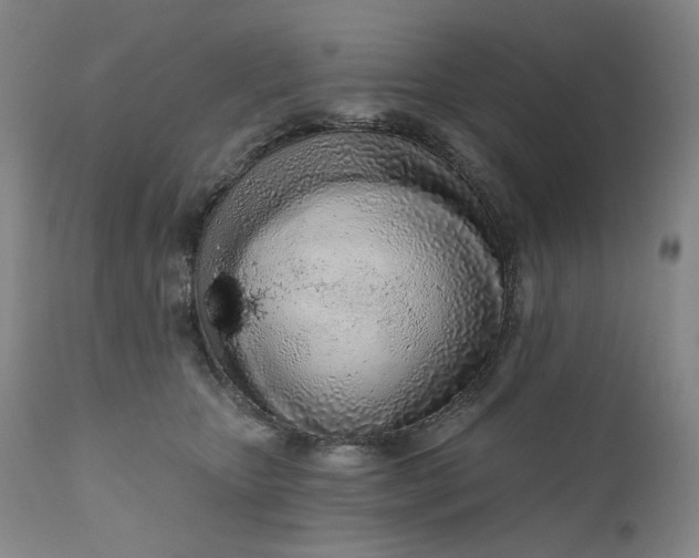 X0000111180467200907151329