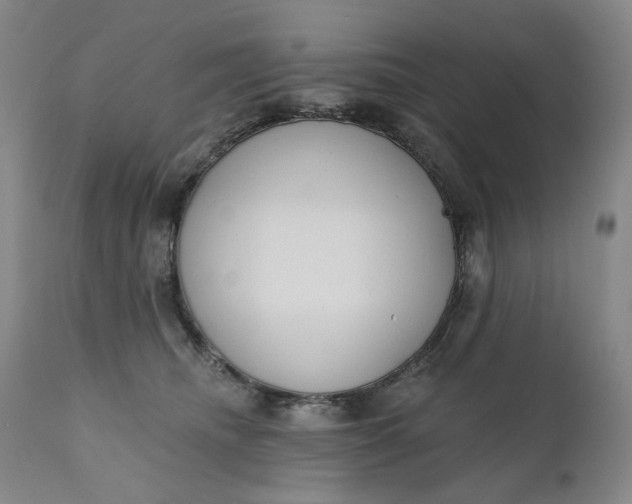 X0000111180468200907151329