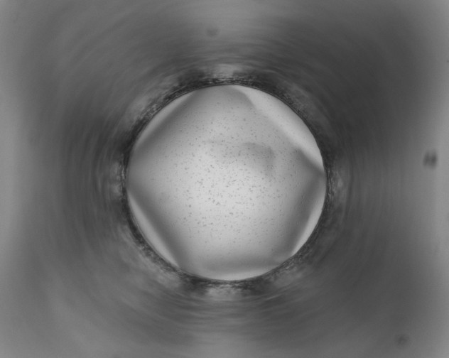 X0000111180470200907151329