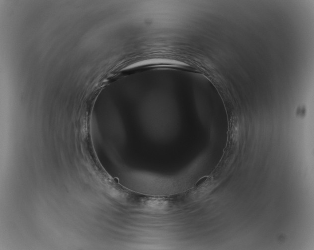 X0000111180471200907151329