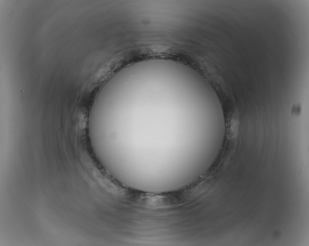 X0000111180472200907151329