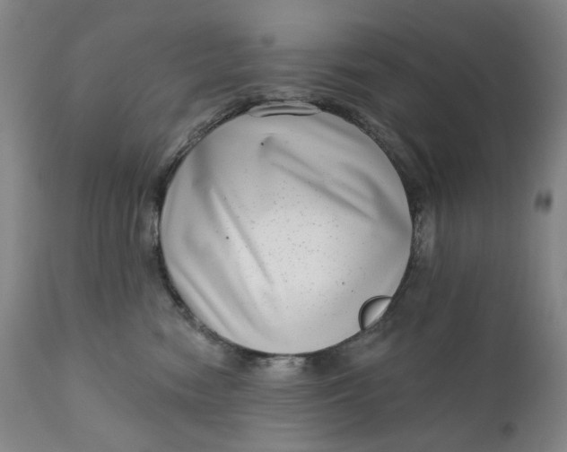 X0000111180474200907151329