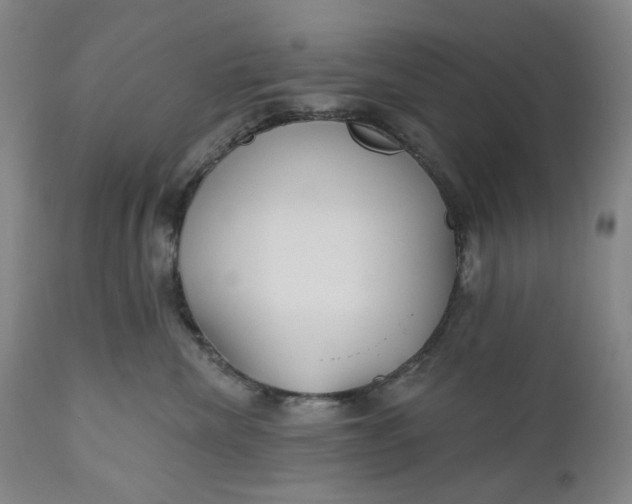 X0000111180476200907151329