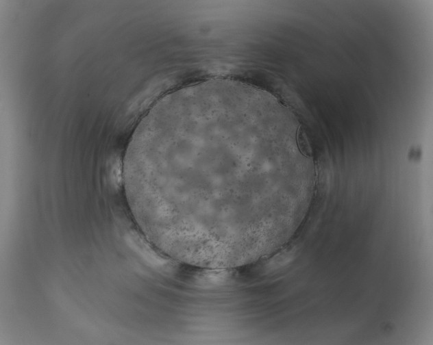 X0000111180479200907151329