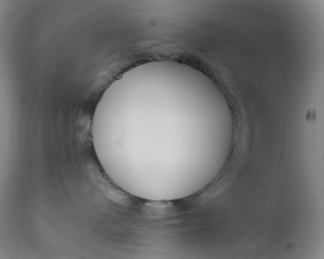 X0000111180480200907151329