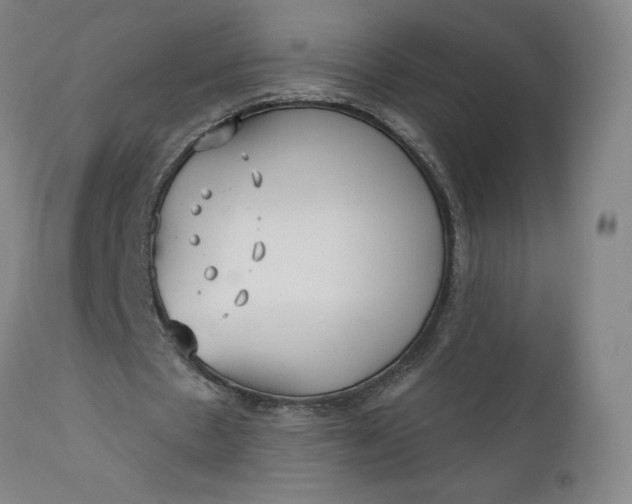 X0000111180481200907151328