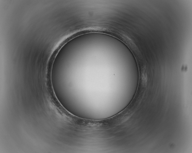 X0000111180484200907151328