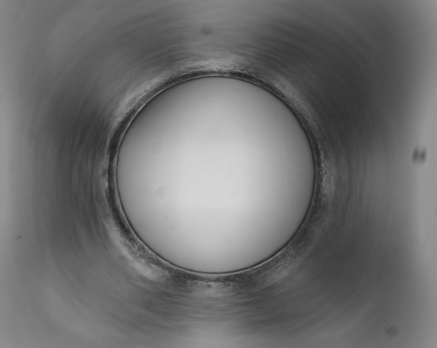 X0000111180486200907151328