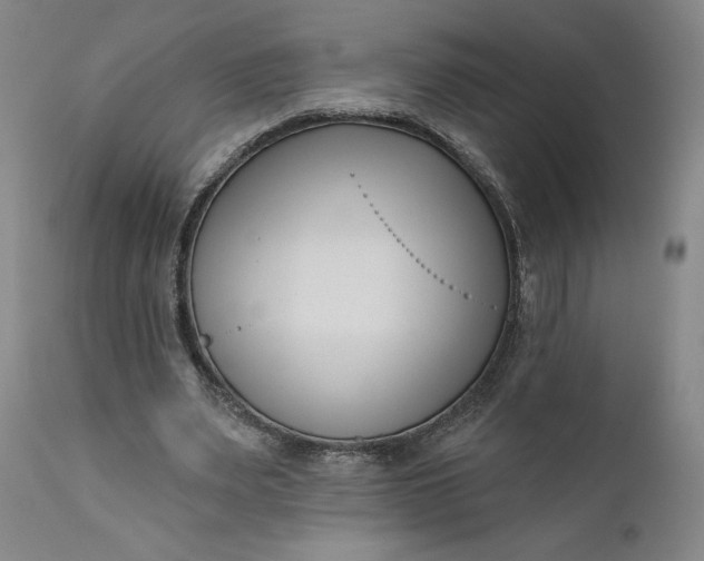 X0000111180487200907151328