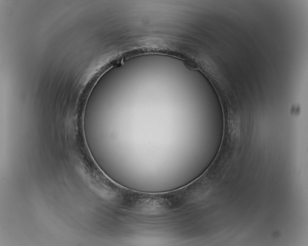 X0000111180488200907151328