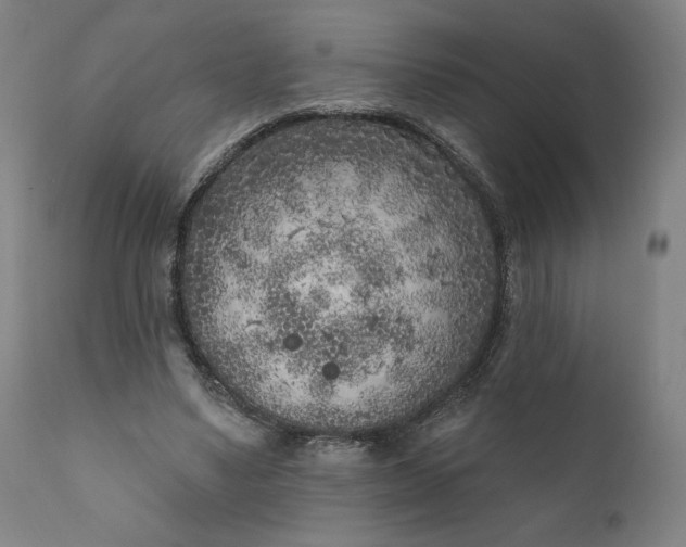 X0000111180491200907151328