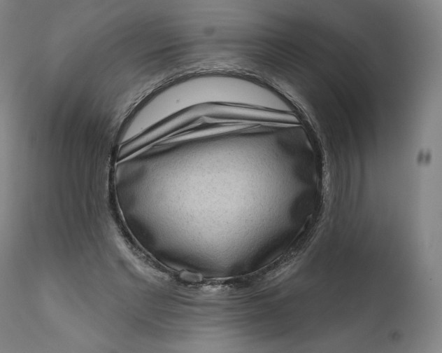 X0000111180493200907151328