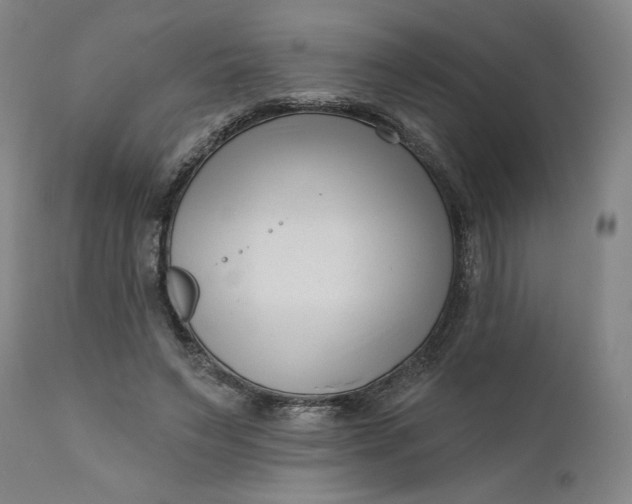 X0000111180495200907151328