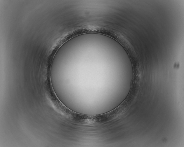 X0000111180496200907151328