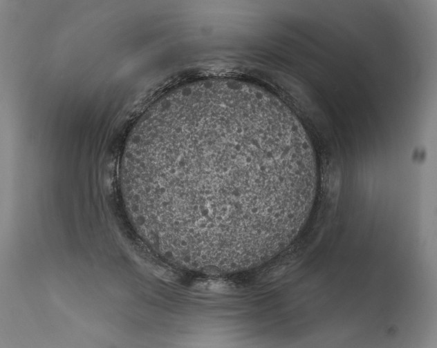 X0000111180503200907151328