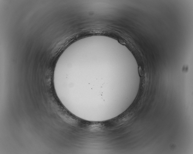 X0000111180505200907151328