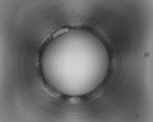 X0000111180508200907151328