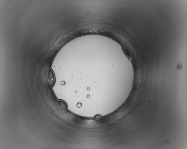 X0000111180509200907151328