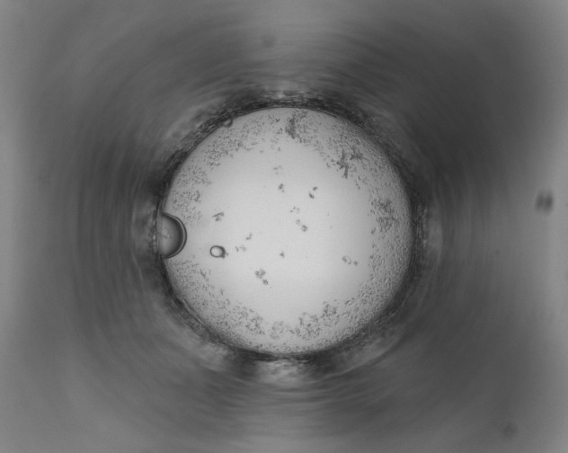 X0000111180511200907151328