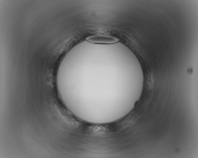 X0000111180512200907151328