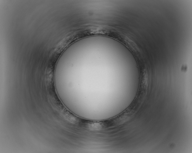 X0000111180513200907151328