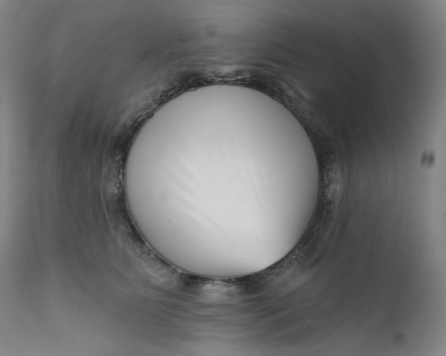 X0000111180515200907151328