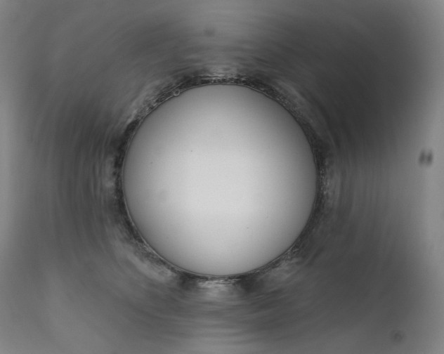 X0000111180516200907151327