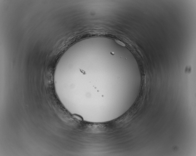 X0000111180517200907151327