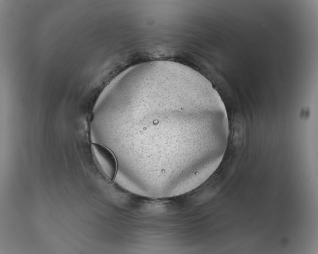 X0000111180523200907151327