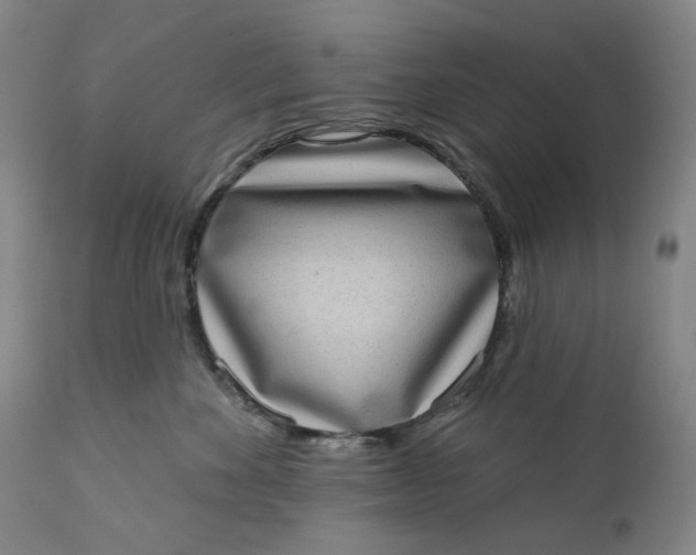 X0000111180524200907151327