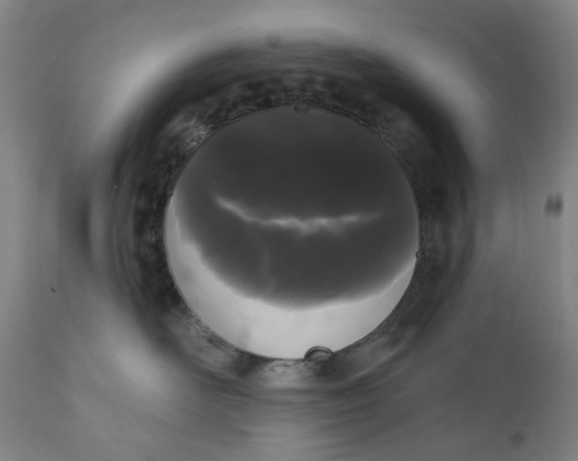 X0000111180526200907151327