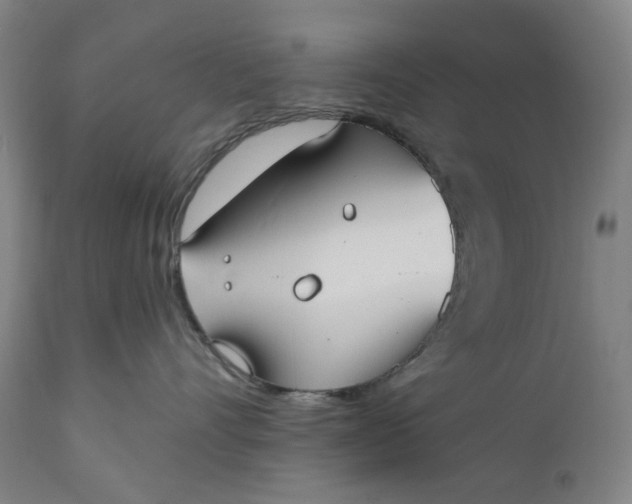 X0000111180528200907151327