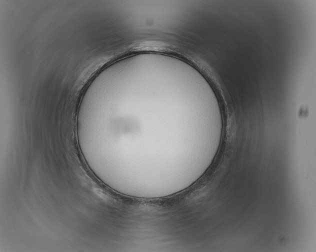 X0000111180529200907151326