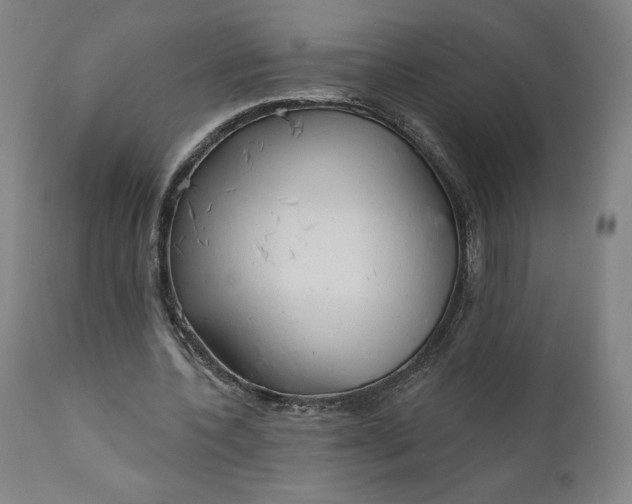 X0000111180532200907151326