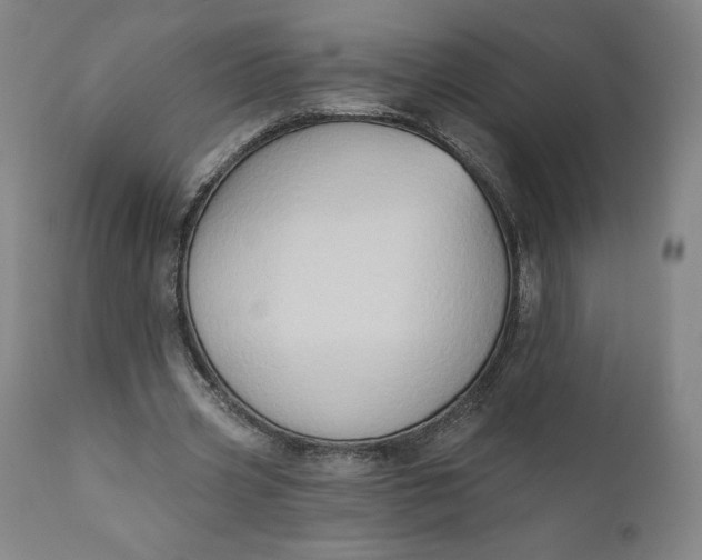 X0000111180533200907151326