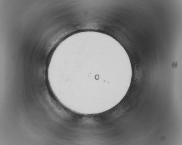 X0000111180534200907151326