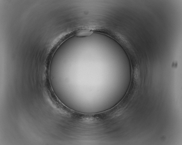 X0000111180540200907151327