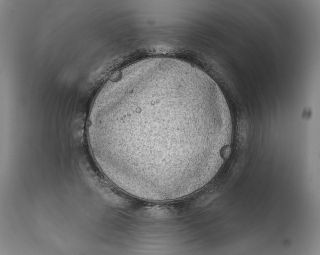 X0000111180545200907151327