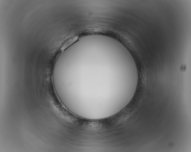 X0000111180546200907151327