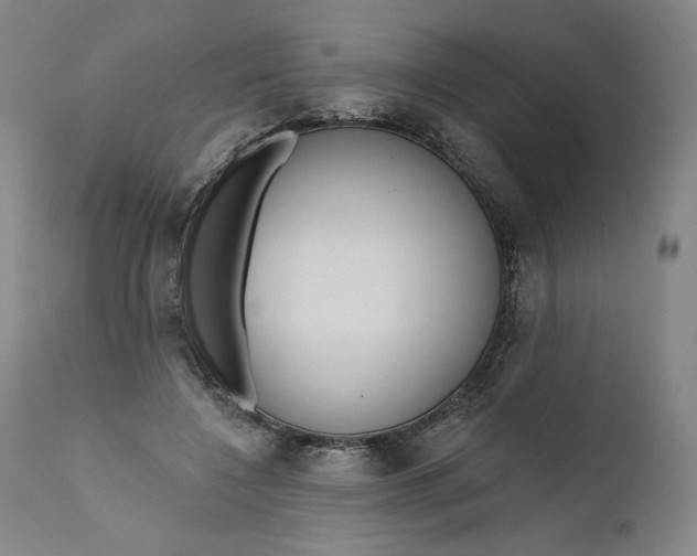 X0000111180548200907151327