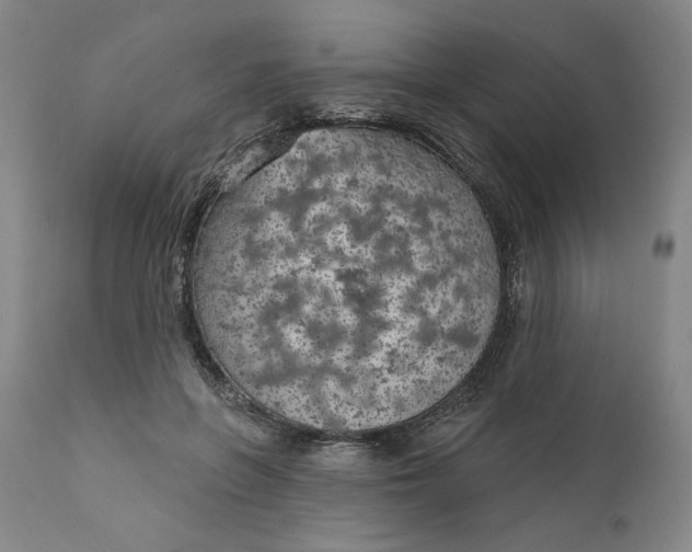 X0000111180551200907151327