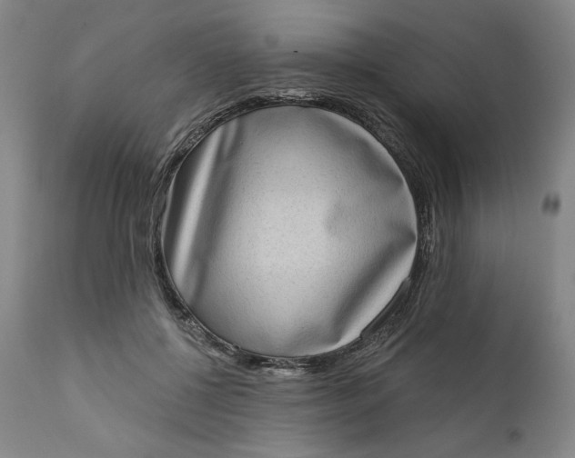 X0000111180552200907151327