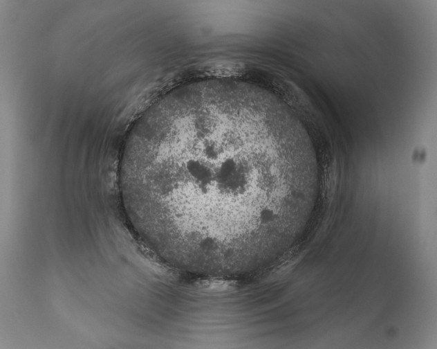 X0000111180553200907151327