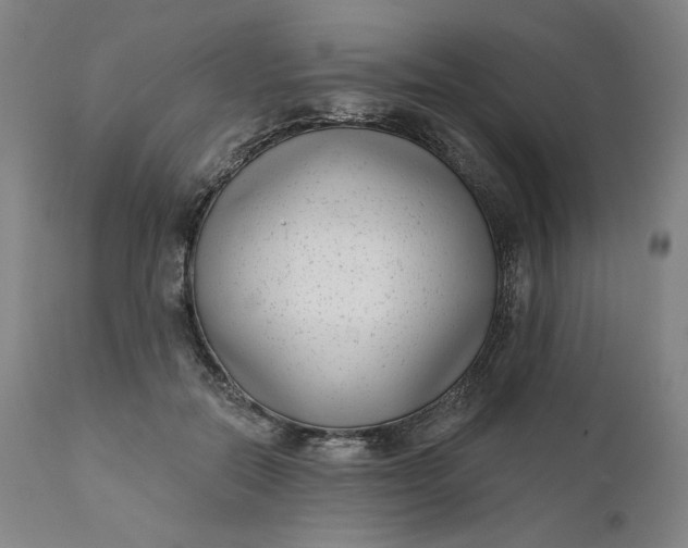 X0000111180554200907151327