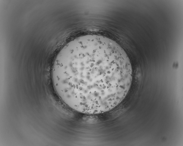 X0000111180559200907151327