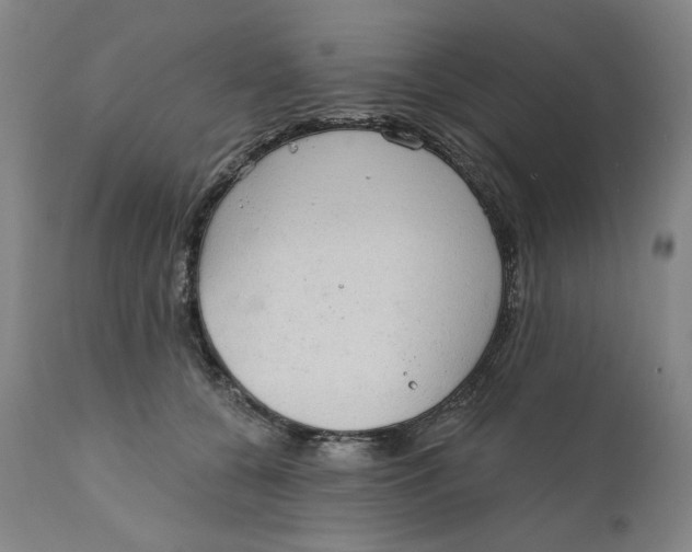 X0000111180560200907151327