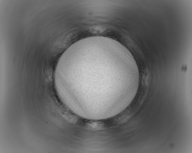 X0000111180561200907151327