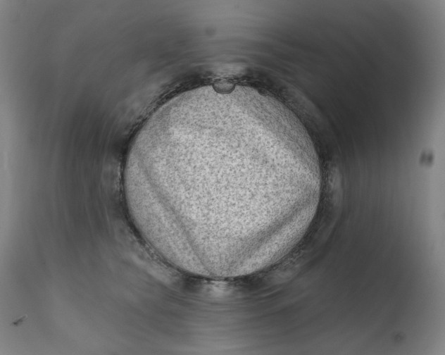 X0000111180565200907151327